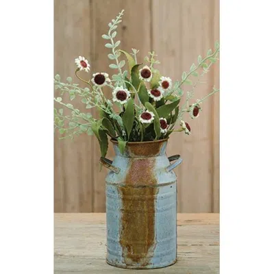 Homegifo Bird's Eye Daisy Bush Cream 18" In Blue