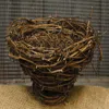 Homegifo Bird Nest - 7"