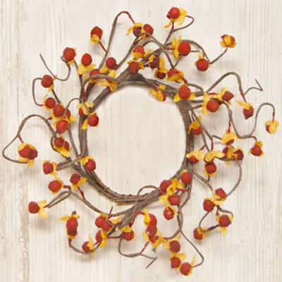 Homegifo Bittersweet Wreath 4"/8" In Multi