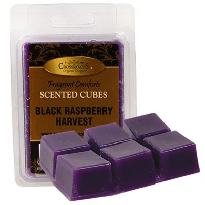 Homegifo Black Raspberry Harvest Scent Cubes In Purple