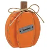 Homegifo Orange Autumn Pumpkin Chunky Sitter