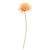 Homegifo *blooming Daisy Stem Dark Pink