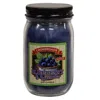 Homegifo Blueberry & Lavender 12oz. Pint Jar Candle