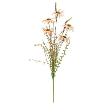 Homegifo Blush Coneflower Spray In Green