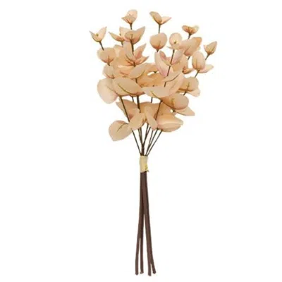 Homegifo *blushing Eucalyptus Bundle In Neutral