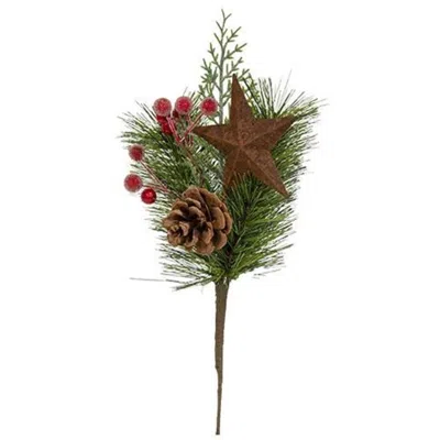 Homegifo Brush Pine & Sugar Berry Pick W/rusty Star In Green