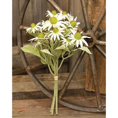 Homegifo Bundle Of Sun White 16" In Green