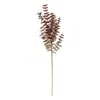 Homegifo *burgundy Fall Ombre Eucalyptus Leaf Spray
