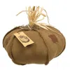 Homegifo *burlap Patches Pumpkin 15"