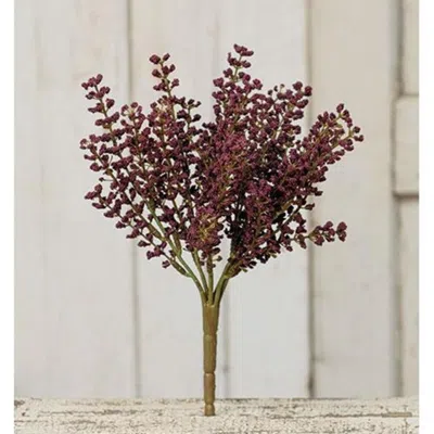Homegifo Bursting Astilbe Bush 10.5" Plum In Purple