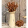 Homegifo Bursting Astilbe Bush 14" Pumpkin