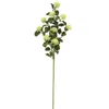 Homegifo Calistoga Spray 29" Cream