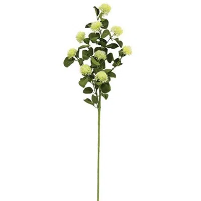 Homegifo Calistoga Spray 29" Cream In Green