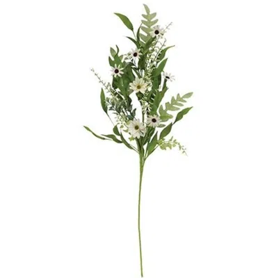 Homegifo *cape Daisy Astilbe & Herb Spray In Green