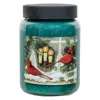 Homegifo Cardinals Nesting Jar Candle 26 oz
