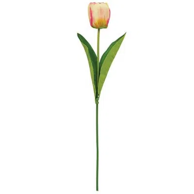 Homegifo Champagne Tulip Stem 17.5" In Green