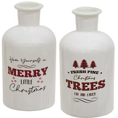 Homegifo Christmas Lodge Glass Jar 2 Asstd. In White