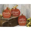 Homegifo Chunky Reversible Pumpkin 3 Asstd.