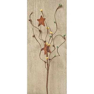 Homegifo Coffee Bean Pip & Star Pick 12" In Brown