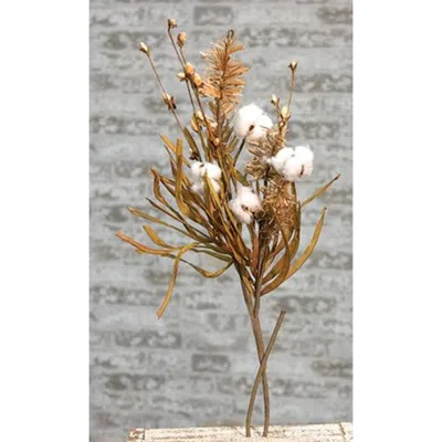 Homegifo *cotton & Fall Grass Branch 28" In Brown