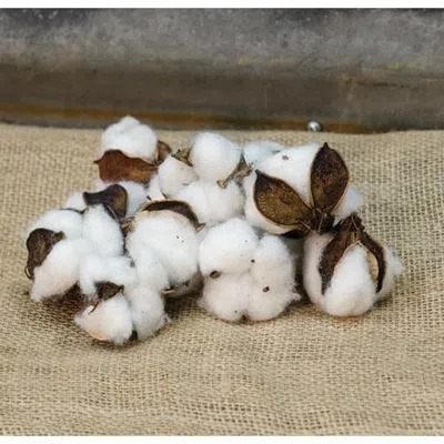 Homegifo *cotton Ball Bag In White
