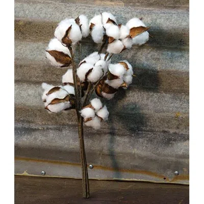 Homegifo *cotton Ball Bunch 14" In White