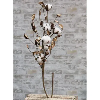 Homegifo *cotton Branch W/shells 30" In Neutral
