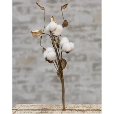 Homegifo *cotton Pick W/shells 12" In Green