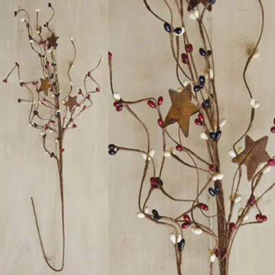 Homegifo Country Mix Pip & Star Spray 24" In Neutral