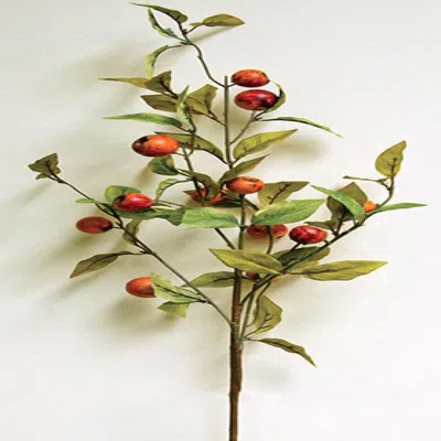 Homegifo Crab Apple Branch 30" In Red