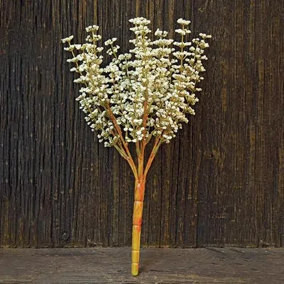 Homegifo Cream Astible Bush - 10.5" In Green