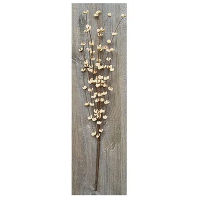 Homegifo Cream Buttercup Pick 16" In Brown