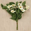 Homegifo Cream Country Daisy Bush