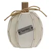 Homegifo Cream Harvest Pumpkin Chunky Sitter