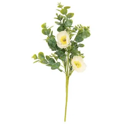 Homegifo Cream Poppy & Eucalyptus Bush In Green