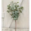 Homegifo Crisp Air Eucalyptus Bush 18"