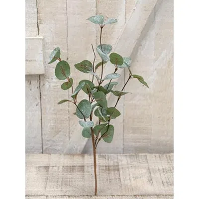 Homegifo Crisp Air Eucalyptus Pick 14" In Green