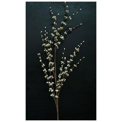 Homegifo Curly Q Berry Spray 30" - Cream In White
