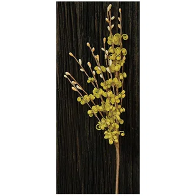 Homegifo Curly Q Pick - Yellow