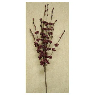 Homegifo Curly Q Pick Burgundy