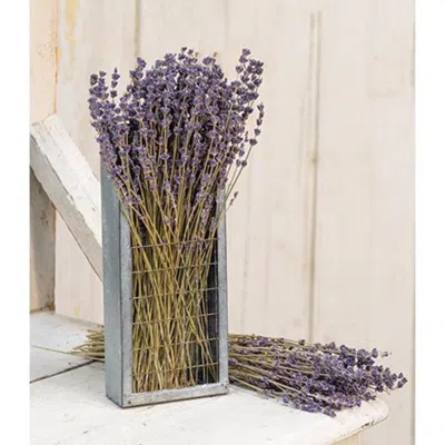 Homegifo Dried Lavender Bunch 13" In Purple