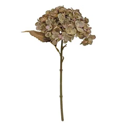 Homegifo Dusty Violet Autumn Hydrangea Pick In Brown