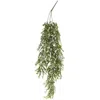 Homegifo Eden's Gate Hanging Vine