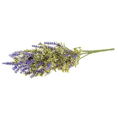 Homegifo English Lavender Bush 16" In Blue