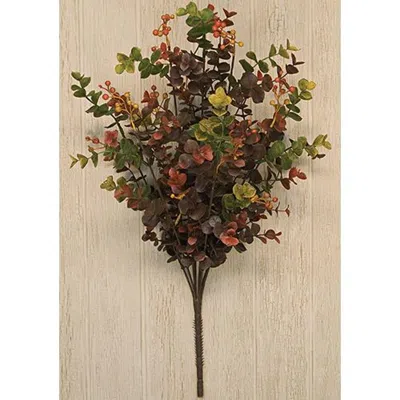 Homegifo Eucalyptus Berry Bush 19" In Multi