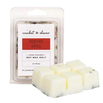 Homegifo Festive Spice Soy Wax Melts In White