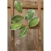 Homegifo *flocked Magnolia Leaves Spray 20"
