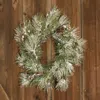Homegifo Flocked Pine Wreath W/pinecones 18"