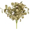 Homegifo Foamy Silver Dollar Bush Sage 12"