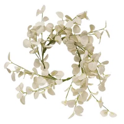 Homegifo Foamy Silver Dollar Wreath Cream 16" In White